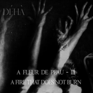 deha A fleur de peau - III - A Fire That Does Not Burn cover