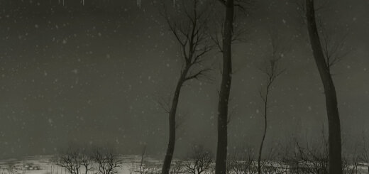 Nordicwinter Solitude cover