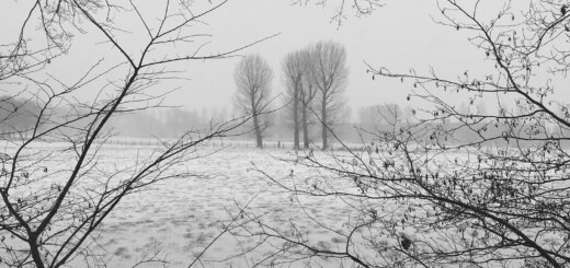 Melancholie Winterkronieken cover