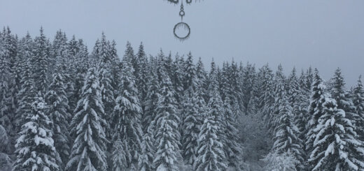 Staghelm - "Subnivium" cover