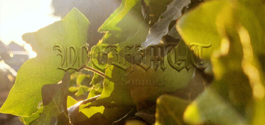 Wehmut - "IV: Sommer" cover