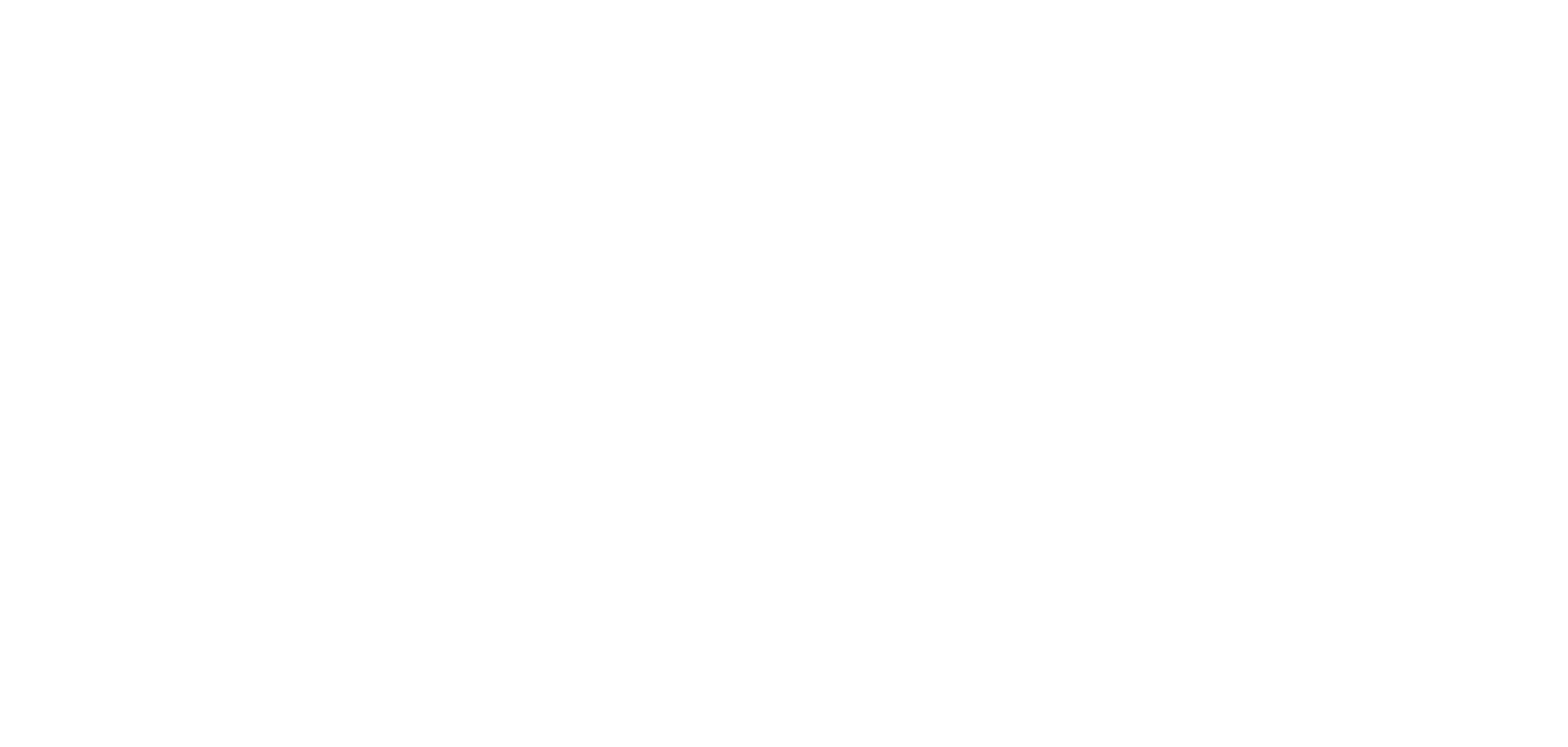 nordicwinter logo